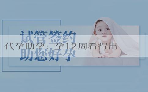 代孕助孕:懷孕12周看得出胎兒性別嗎？懷孕12周看男女準不準？